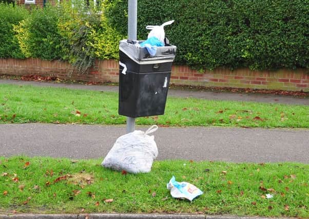 Services under the spotlight for cuts by the council  bins waste car parks and hedge trimming EMN-141119-160442001