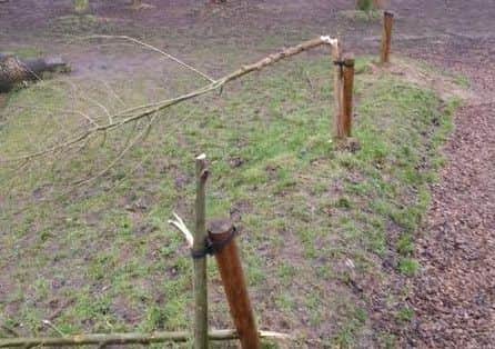 Trees have been damaged in the latest spree