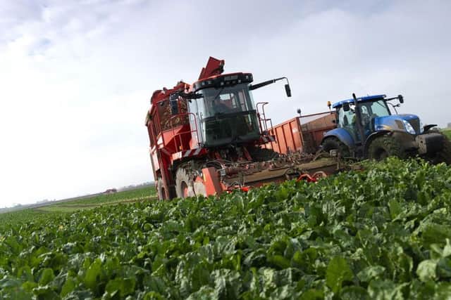 Beet production under way for British Sugar.