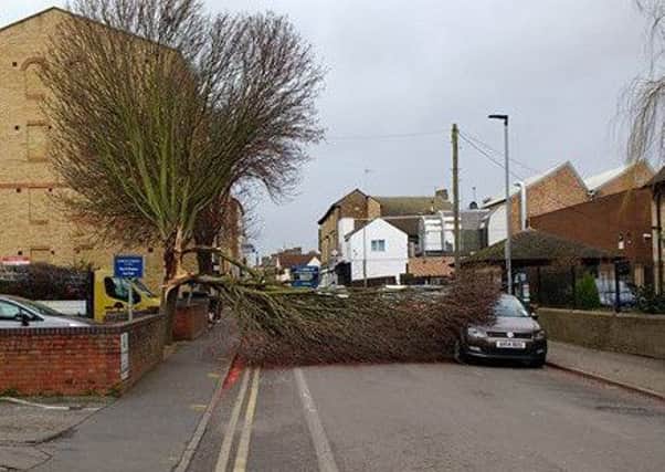 Karen Buckingham sent us this photo of a tree down in Geneva Road in Peterborough
