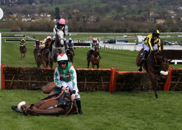 Pam Sly's Actiinpieces (the grey) in action at Cheltenham.