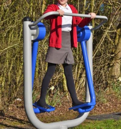 Heritage Park primary school pupils using their new outdoor play/gym equiptment. Pictured is Florence-Lily Gardner EMN-170315-112956009
