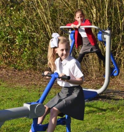 Heritage Park primary school pupils using their new outdoor play/gym equiptment. Pictured is  Lillie-Mai Canty EMN-170315-113025009