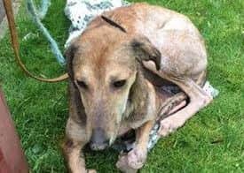 Ella when she was found