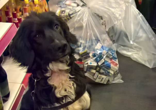 One of the sniffer dogs with just some of the illegal cigarettes found in Wisbech