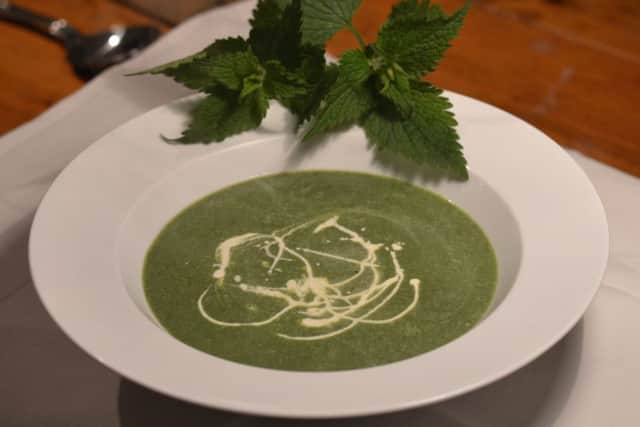 Nettle soup