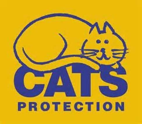 protection logo