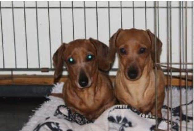 Lola (right)