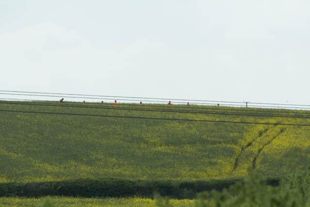 Police and Cambridge SAR conduct a search and rescue for a 4th person thought to seriously injured in a fatal collision on the A605,A605, Peterborough07/05/2017. Picture by Terry Harris. THA