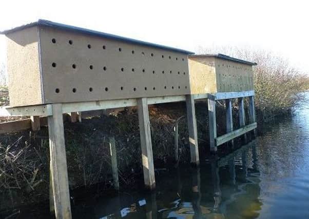 The newly completed extension to the sand martin nesting boxes.