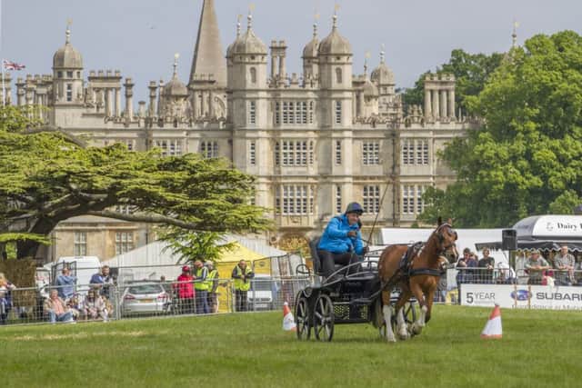 Burghley Game and Country Fair, which took place on Sunday and Bank Holiday Monday
Photos: Lee Hellwing EMN-160531-114758001