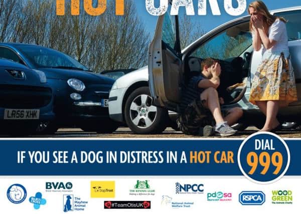 The RSPCA campaign
