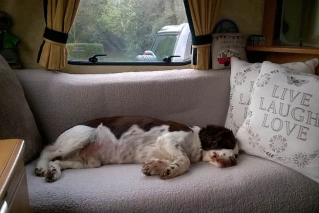 PD Brewster sleeping
