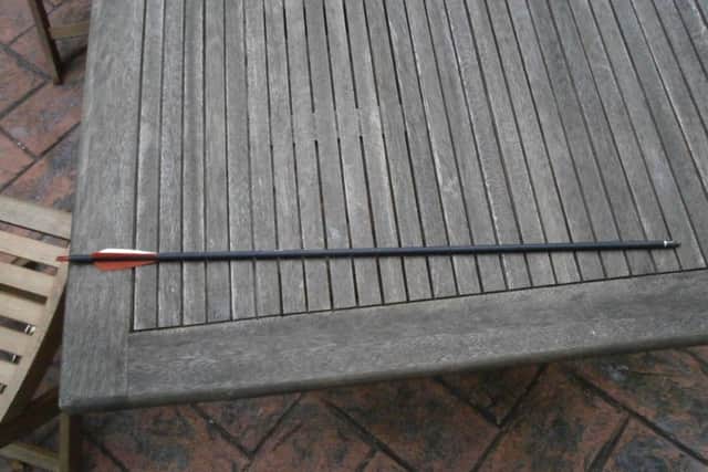 The arrow found in the patio