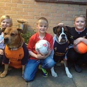 Harry, Jamie and Danny White with. Barney the mastiff and Murphy the boxer all showing their colours for Bradley