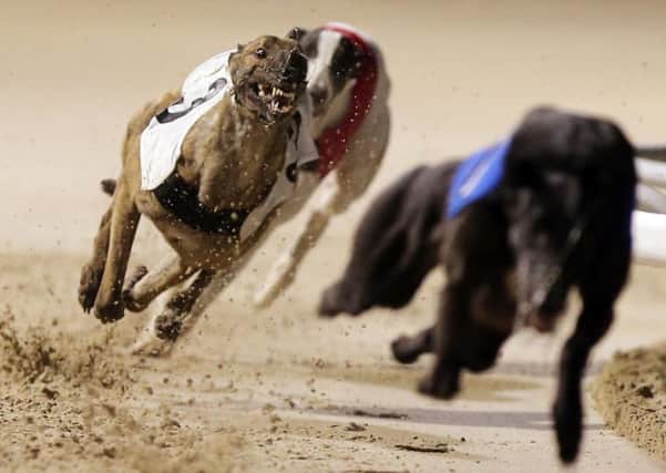 The Peterborough Derby heats took place last night.