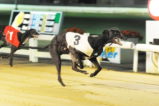 Kooga Klammer just made it through to the final. Picture: Steve Nash