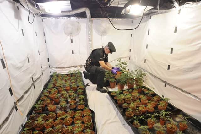 Police raid a home at Oakroyd Cresent, Wisbech where they found a cannabis factory. EMN-170915-140506009