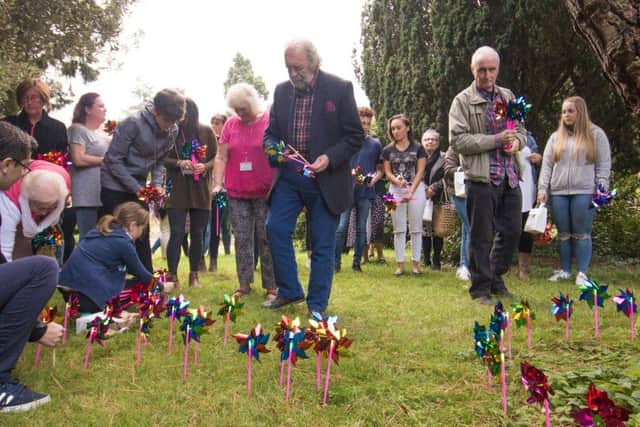 The pinwheels are planted