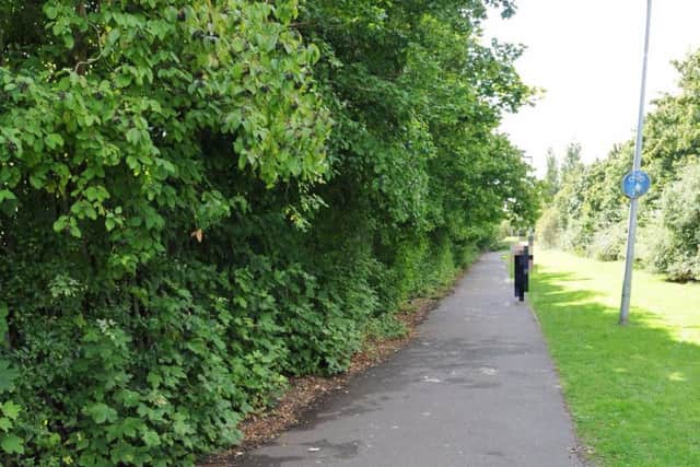 The footpath where the sexual assault took place