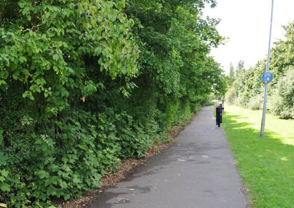 The footpath where the sexual assault took place