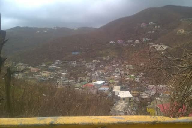 The valley
