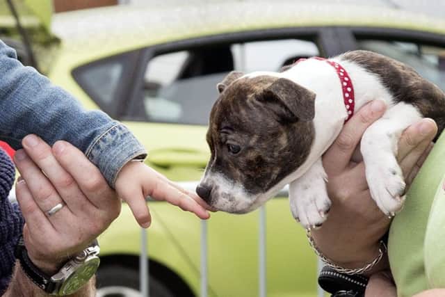 Autumn Food and Country Fair at Peterborough Arena. Photo: Mikael Carrington