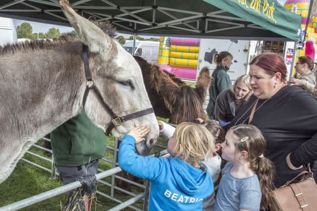 Autumn Food and Country Fair at Peterborough Arena. Photo: Mikael Carrington