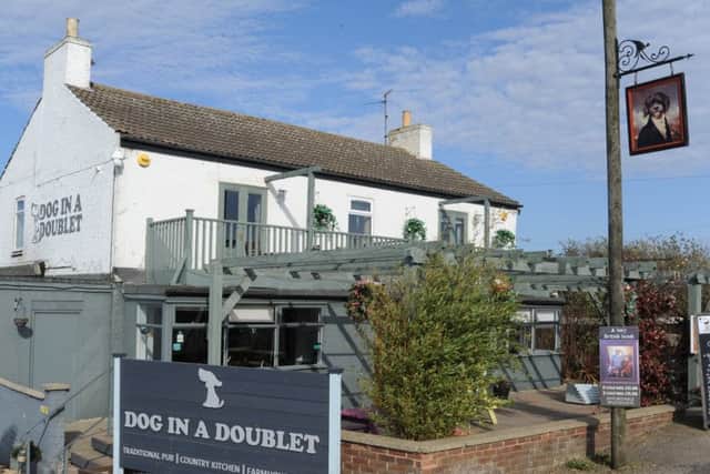 Dog-in-a-Doublet
