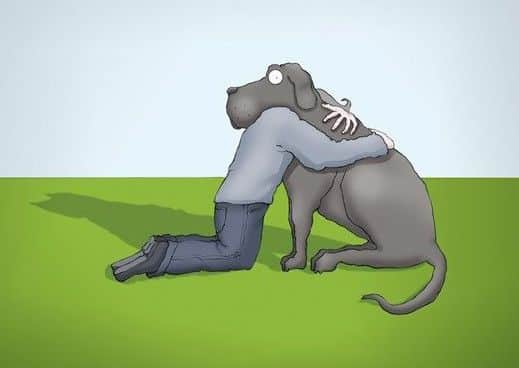 I Had A Black Dog