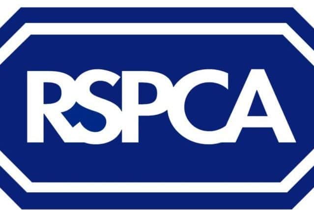 RSPCA